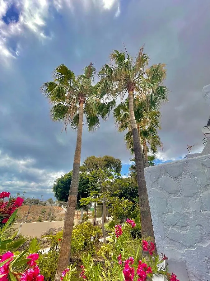 Little Paradise Apartment Costa Del Silencio